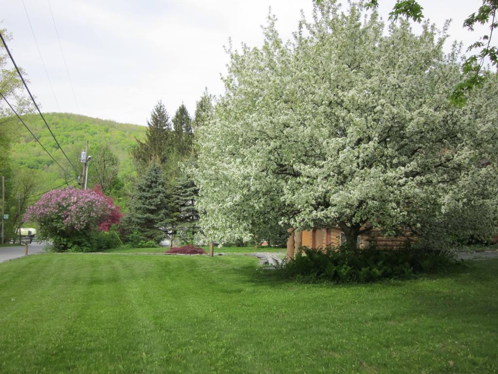 2580 Mason Hill Road Pownal, VT 05261 - Photo 10 of 11 frontyard