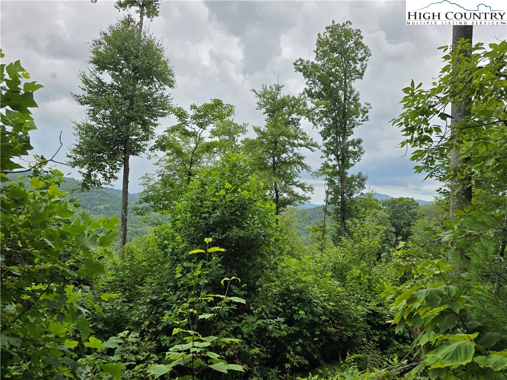 Parker Road Creston, NC 28615 - Photo 1 of 28 Gallery Image 1