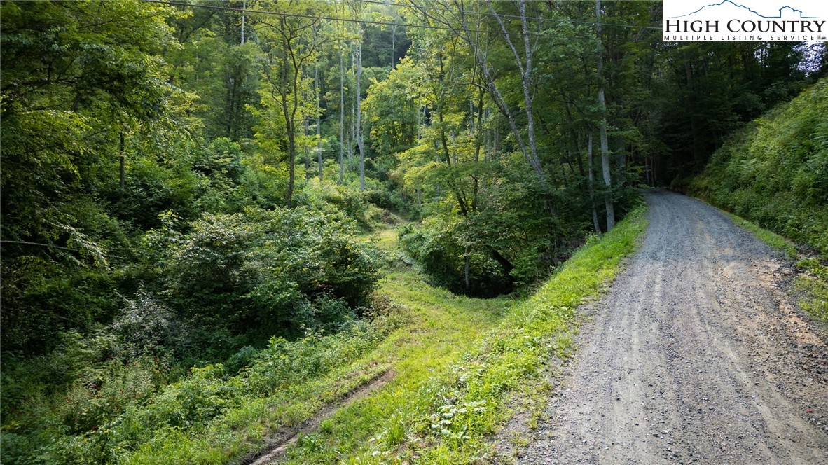 Parker Road Creston, NC 28615 - Photo 11 of 28 Gallery Image 11