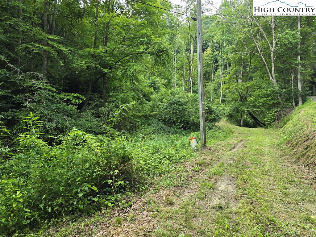 Parker Road Creston, NC 28615 - Photo 12 of 28 Gallery Image 12