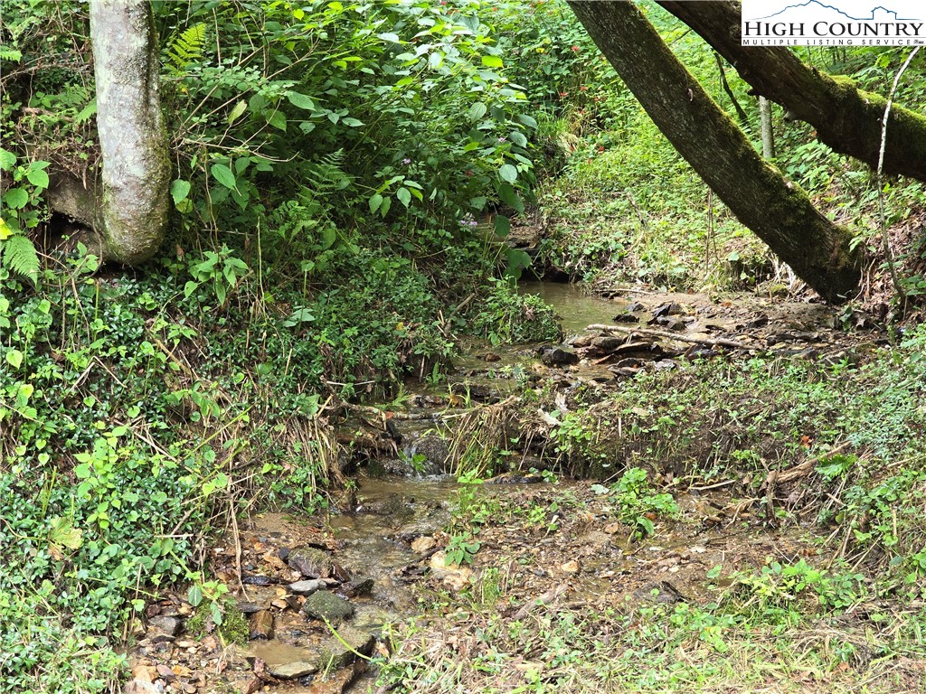 Parker Road Creston, NC 28615 - Photo 13 of 28 Gallery Image 13