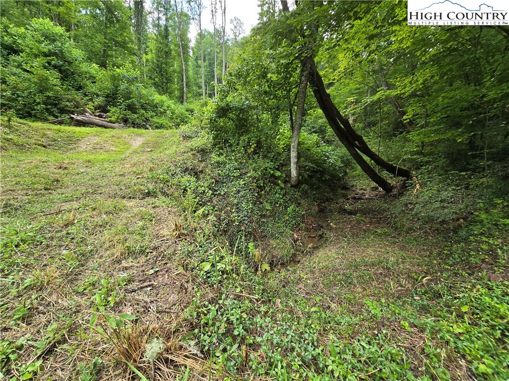 Parker Road Creston, NC 28615 - Photo 14 of 28 Gallery Image 14