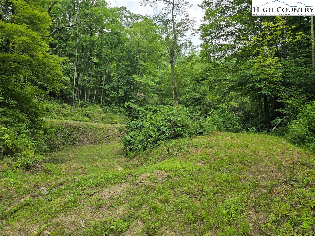 Parker Road Creston, NC 28615 - Photo 15 of 28 Gallery Image 15