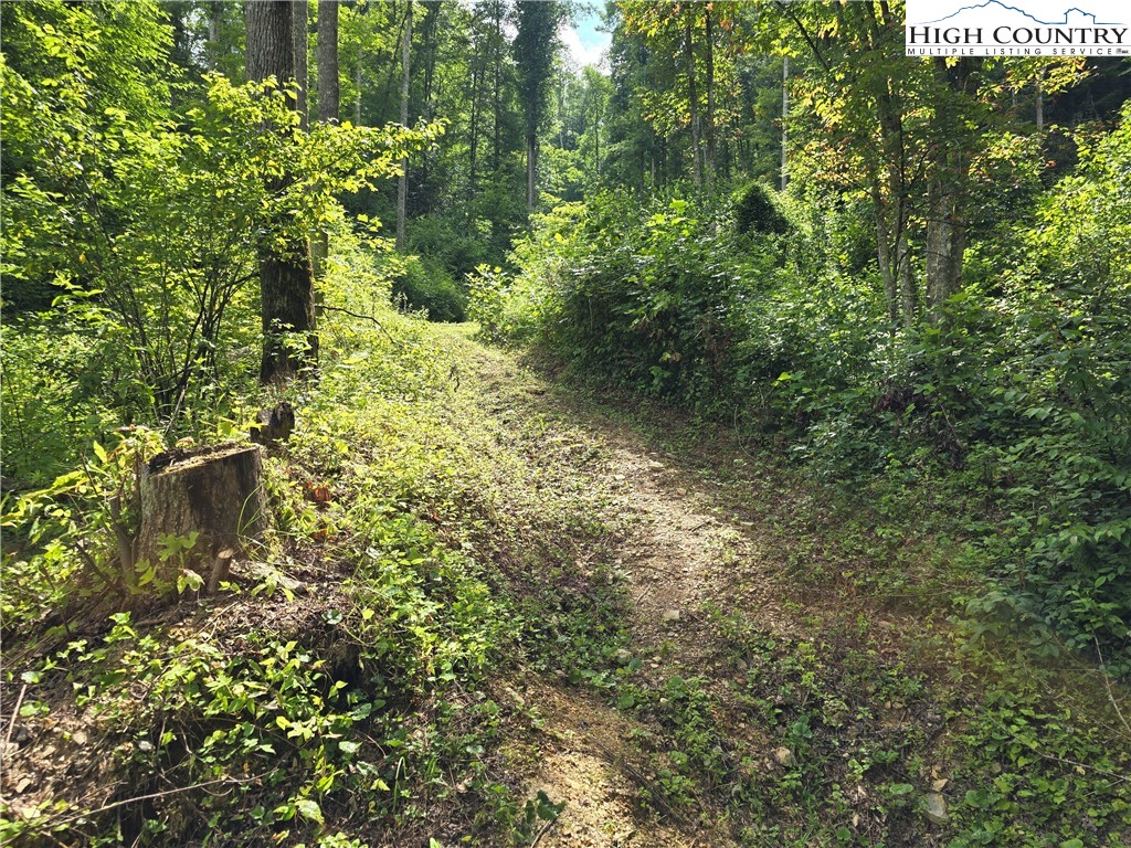 Parker Road Creston, NC 28615 - Photo 16 of 28 Gallery Image 16