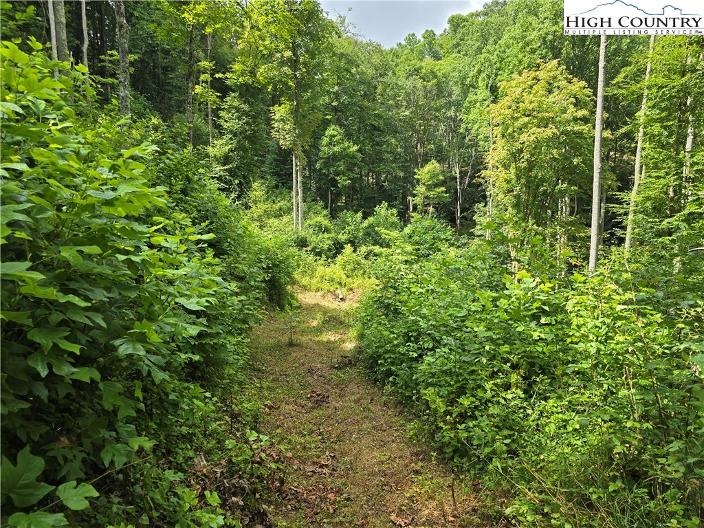Parker Road Creston, NC 28615 - Photo 17 of 28 Gallery Image 17