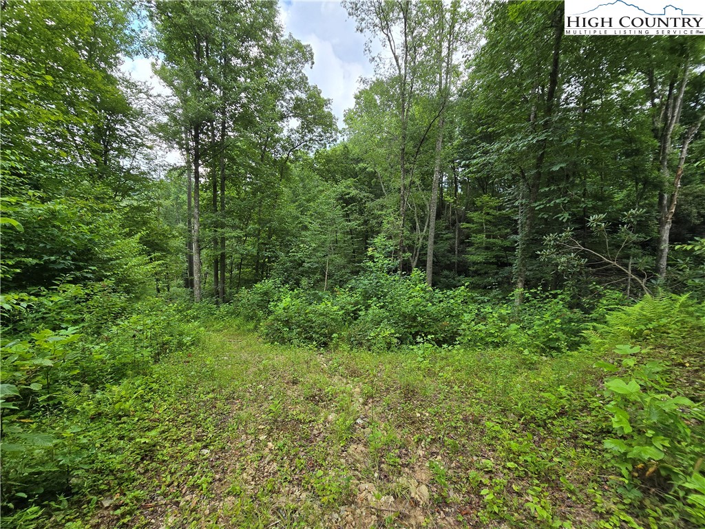 Parker Road Creston, NC 28615 - Photo 21 of 28 Gallery Image 21