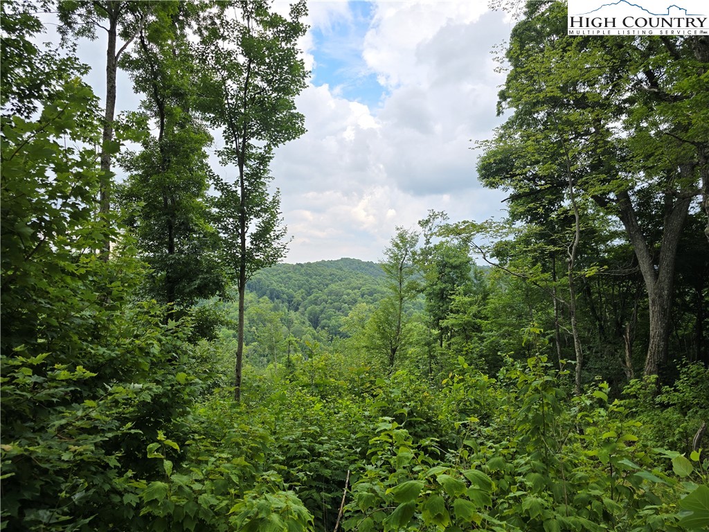 Parker Road Creston, NC 28615 - Photo 22 of 28 Gallery Image 22