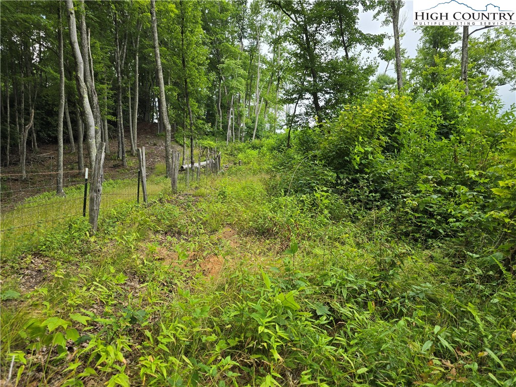 Parker Road Creston, NC 28615 - Photo 23 of 28 Gallery Image 23