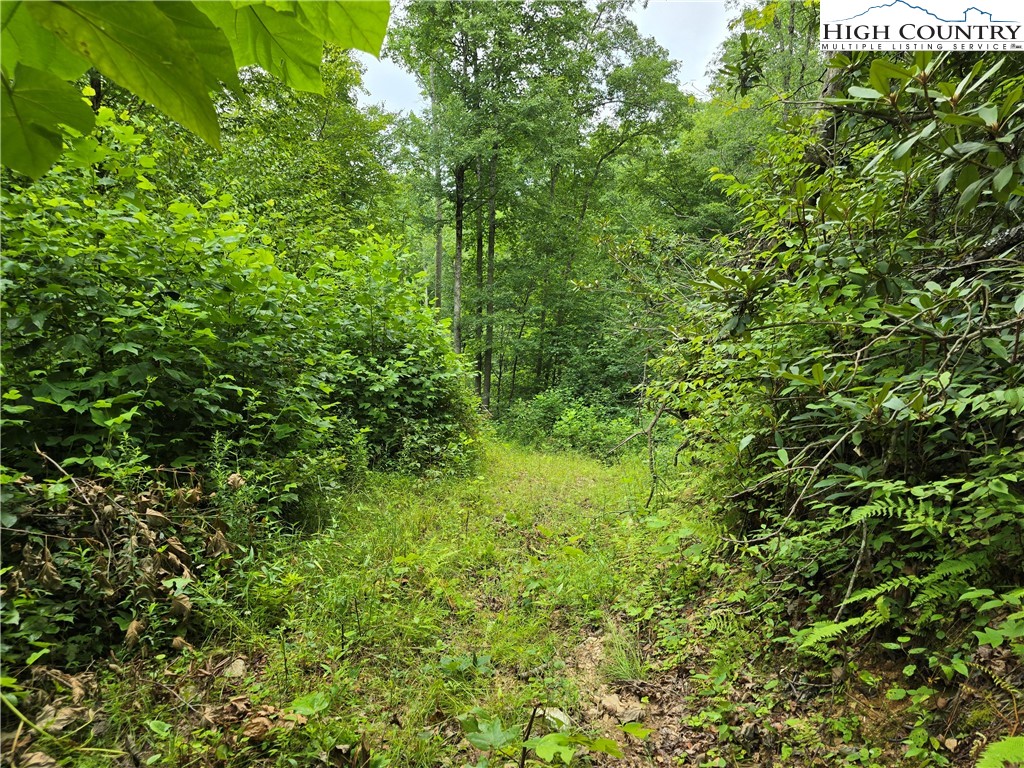 Parker Road Creston, NC 28615 - Photo 24 of 28 Gallery Image 24