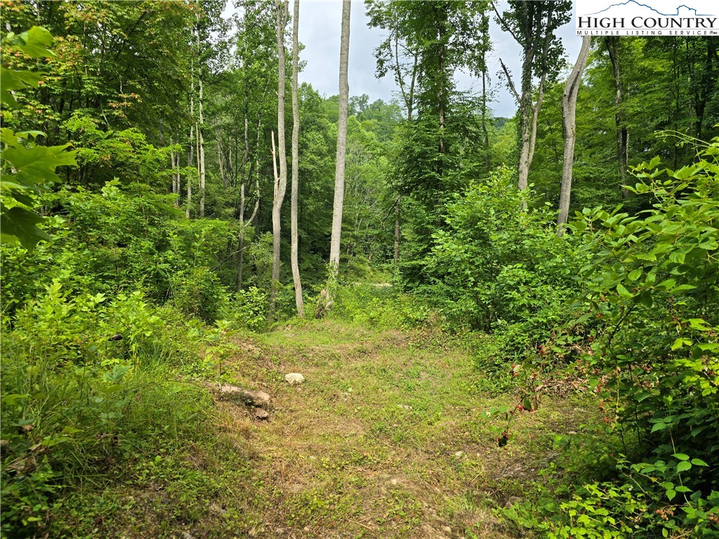 Parker Road Creston, NC 28615 - Photo 25 of 28 Gallery Image 25