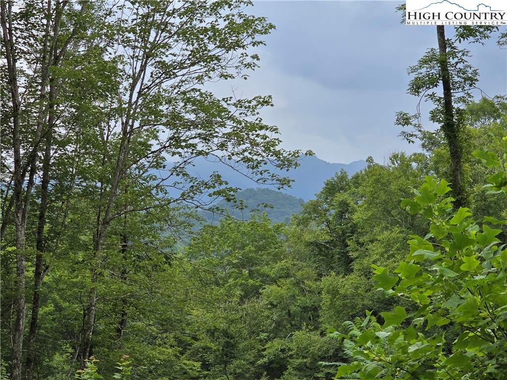 Parker Road Creston, NC 28615 - Photo 28 of 28 Gallery Image 28