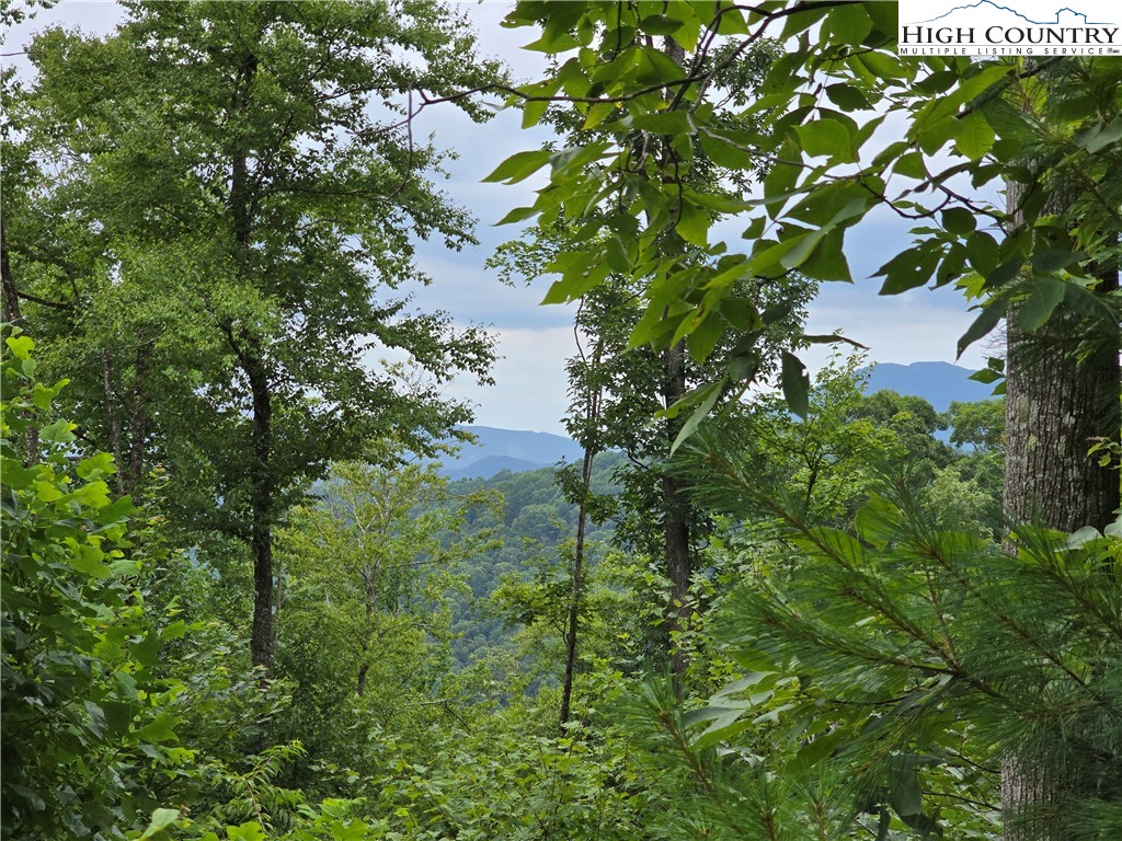 Parker Road Creston, NC 28615 - Photo 5 of 28 Gallery Image 5