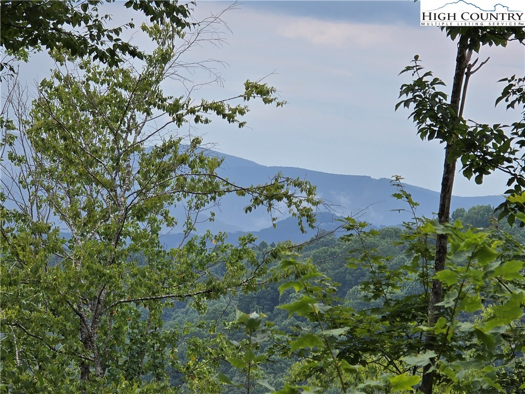 Parker Road Creston, NC 28615 - Photo 6 of 28 Gallery Image 6