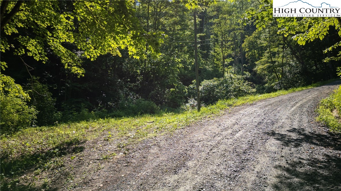 Parker Road Creston, NC 28615 - Photo 7 of 28 Gallery Image 7