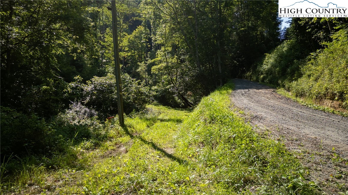 Parker Road Creston, NC 28615 - Photo 8 of 28 Gallery Image 8