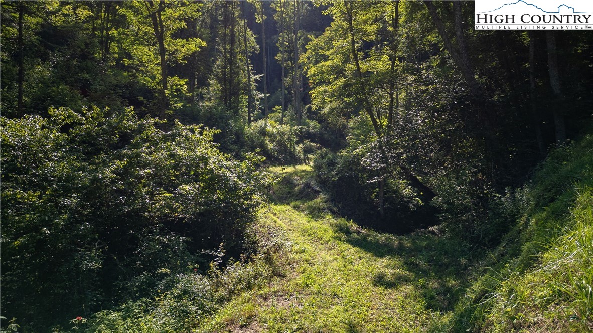Parker Road Creston, NC 28615 - Photo 9 of 28 Gallery Image 9