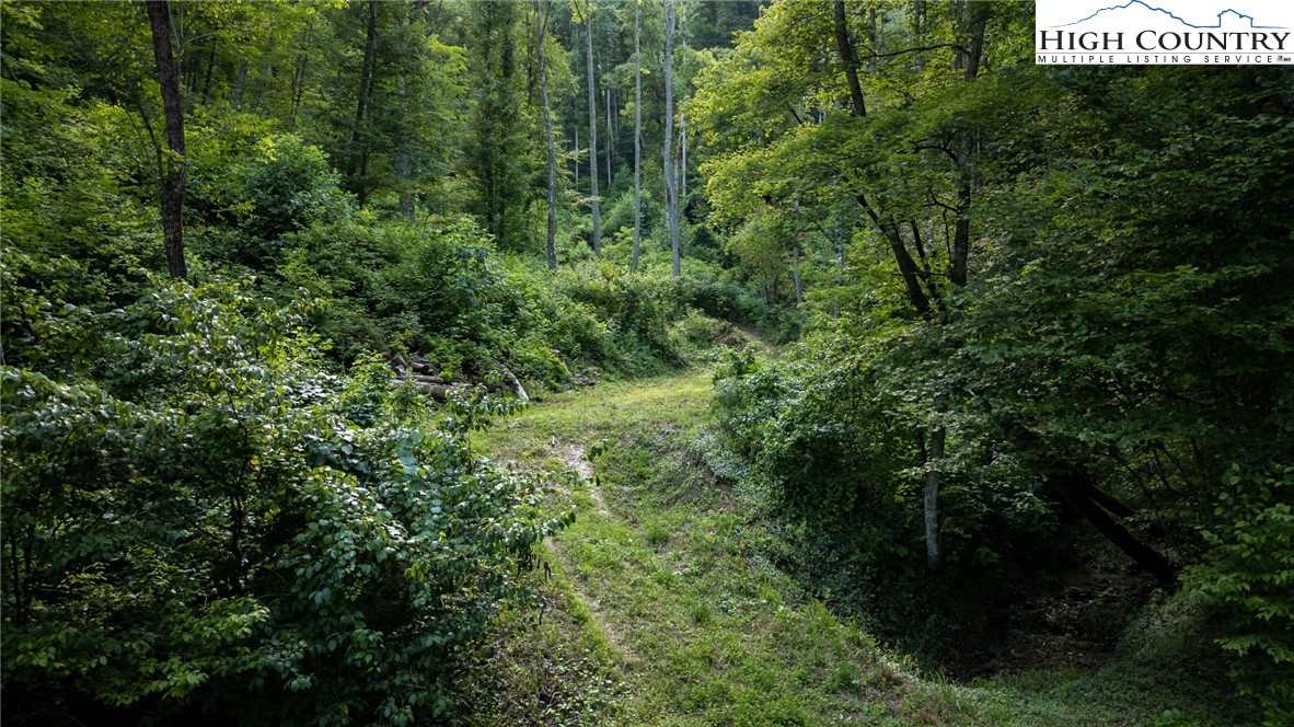 Parker Road Creston, NC 28615 - Photo 10 of 28 Gallery Image 10