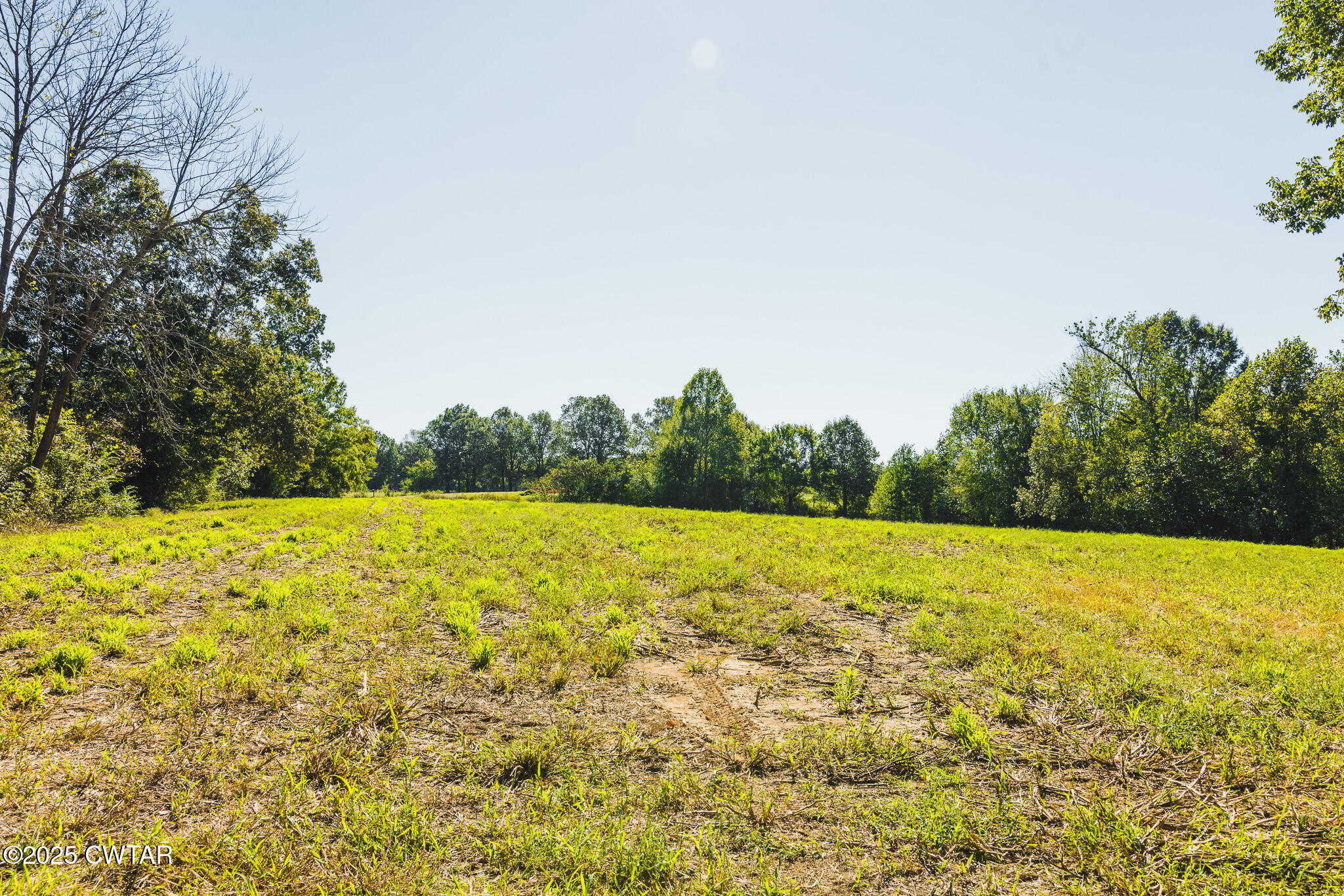 2 Hearn Road Greenfield, TN 38230 - Photo 11 of 13 FT8A9834