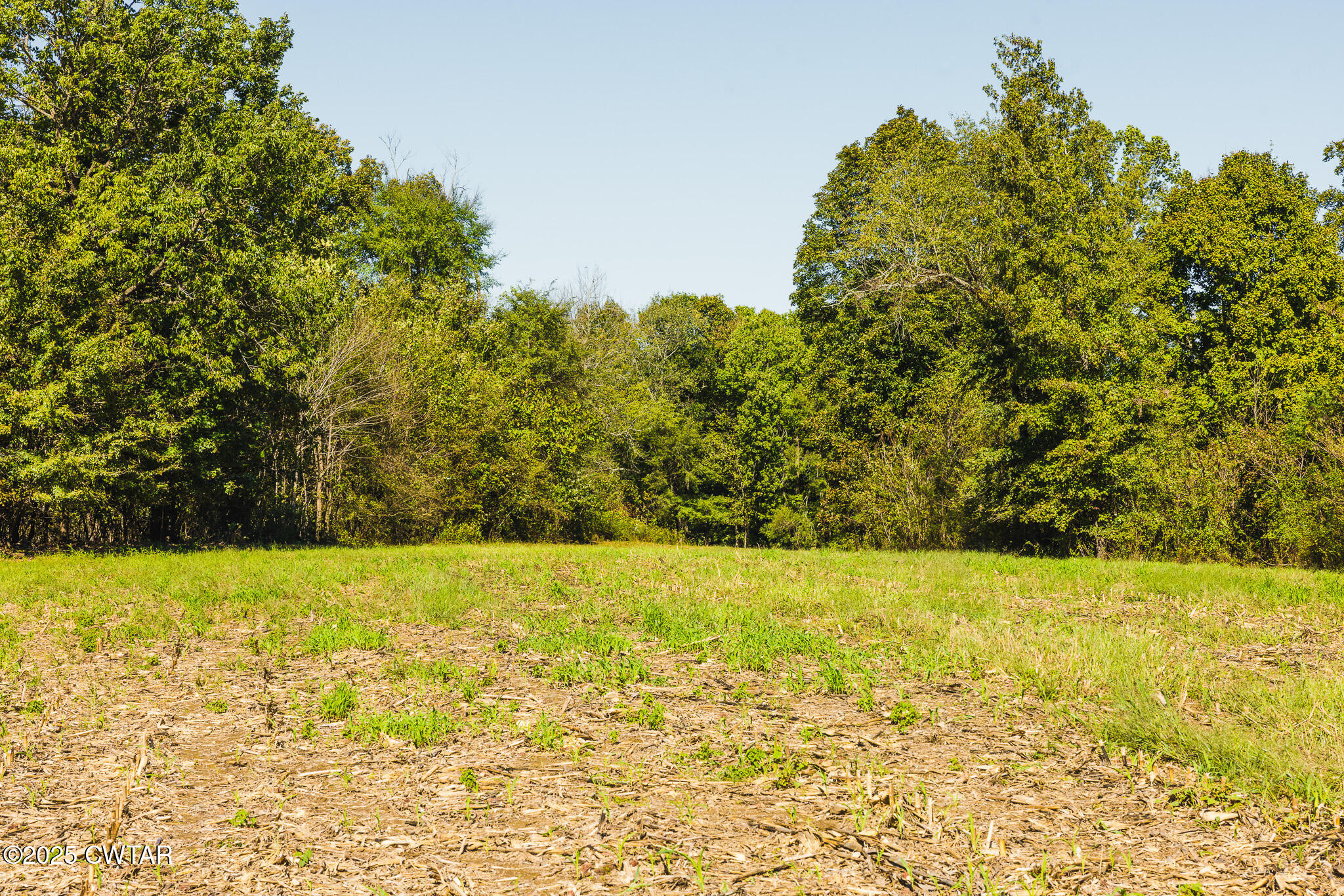 2 Hearn Road Greenfield, TN 38230 - Photo 12 of 13 FT8A9836