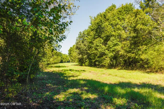 $179,000 | 2 Hearn Road, Greenfield, TN 38230