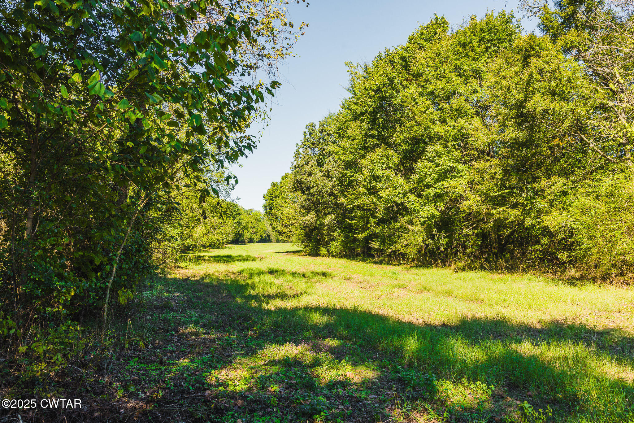 2 Hearn Road Greenfield, TN 38230 - Photo 13 of 13 FT8A9839