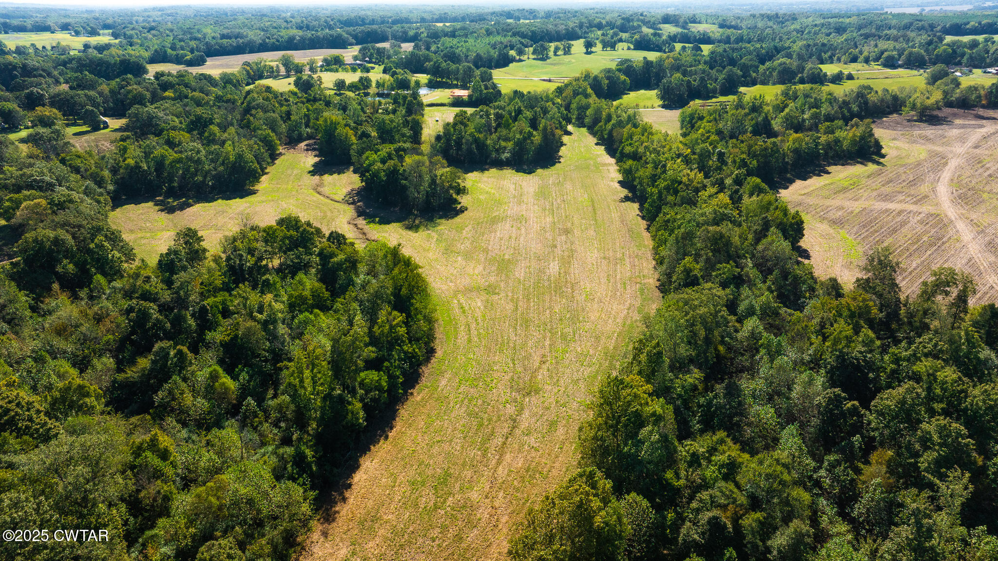 2 Hearn Road Greenfield, TN 38230 - Photo 4 of 13 DJI_20251009103634_0092_D