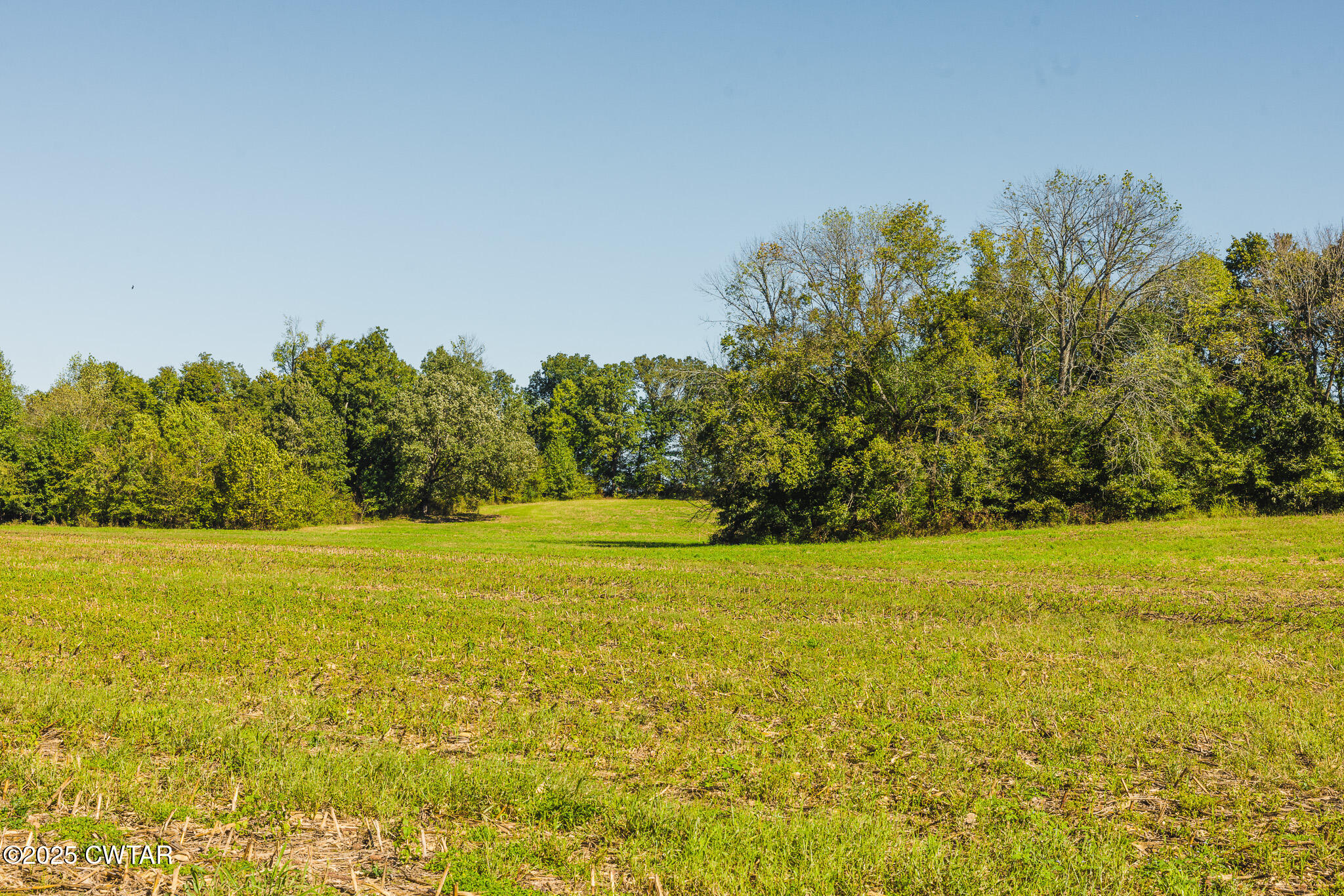 2 Hearn Road Greenfield, TN 38230 - Photo 8 of 13 FT8A9826