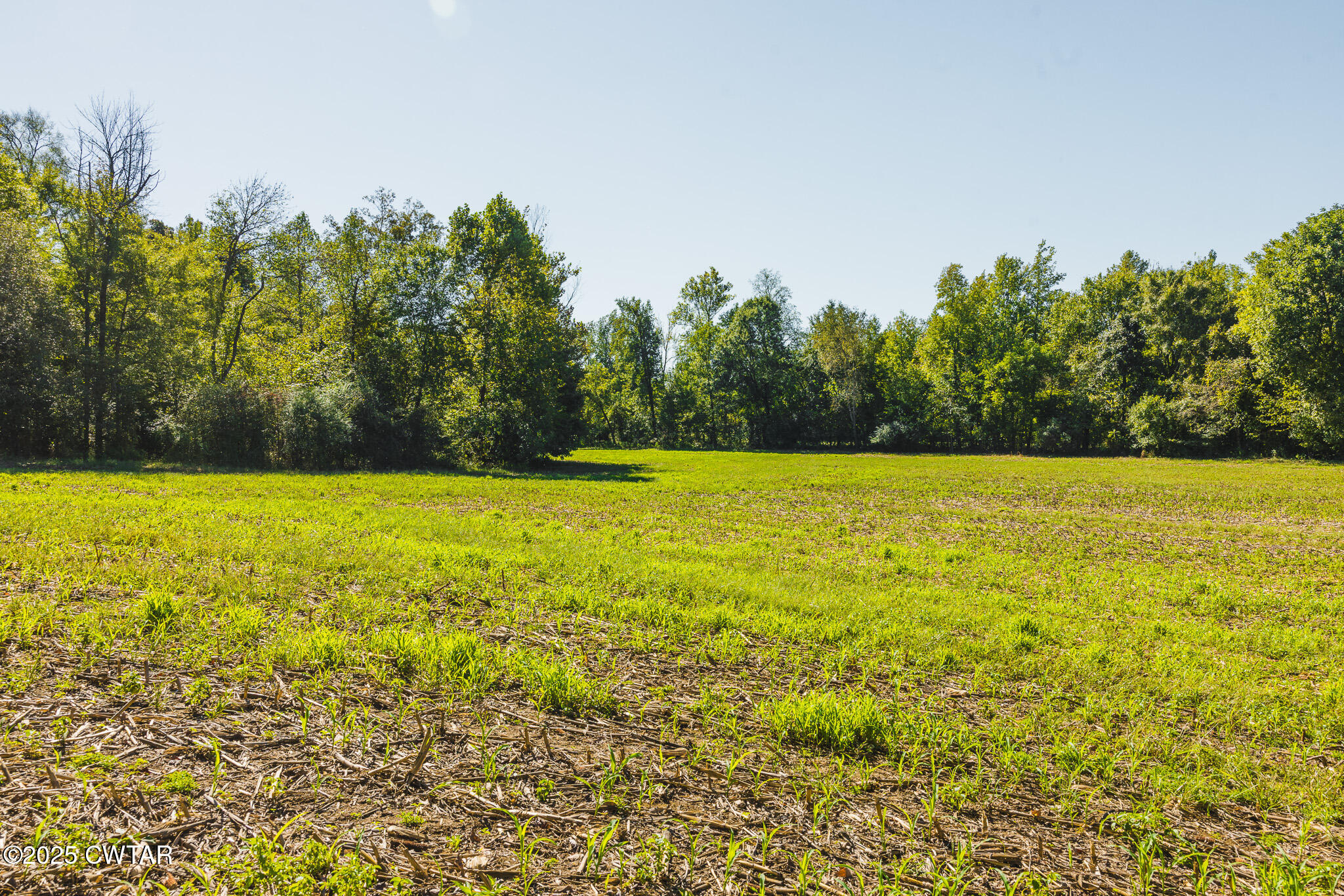 2 Hearn Road Greenfield, TN 38230 - Photo 9 of 13 FT8A9829
