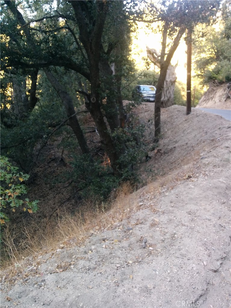 0 Chillon Drive Crestline, CA 92325 - Photo 2 of 9 a view of a yard with a tree