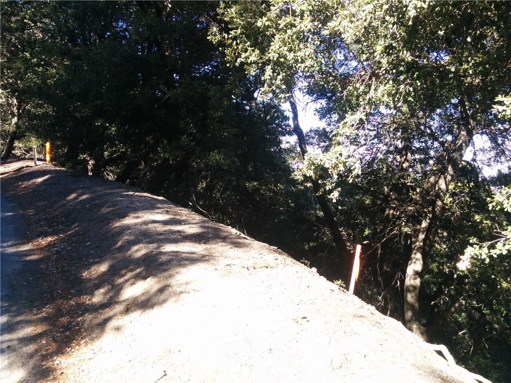 0 Chillon Drive Crestline, CA 92325 - Photo 3 of 9 a view of a tree