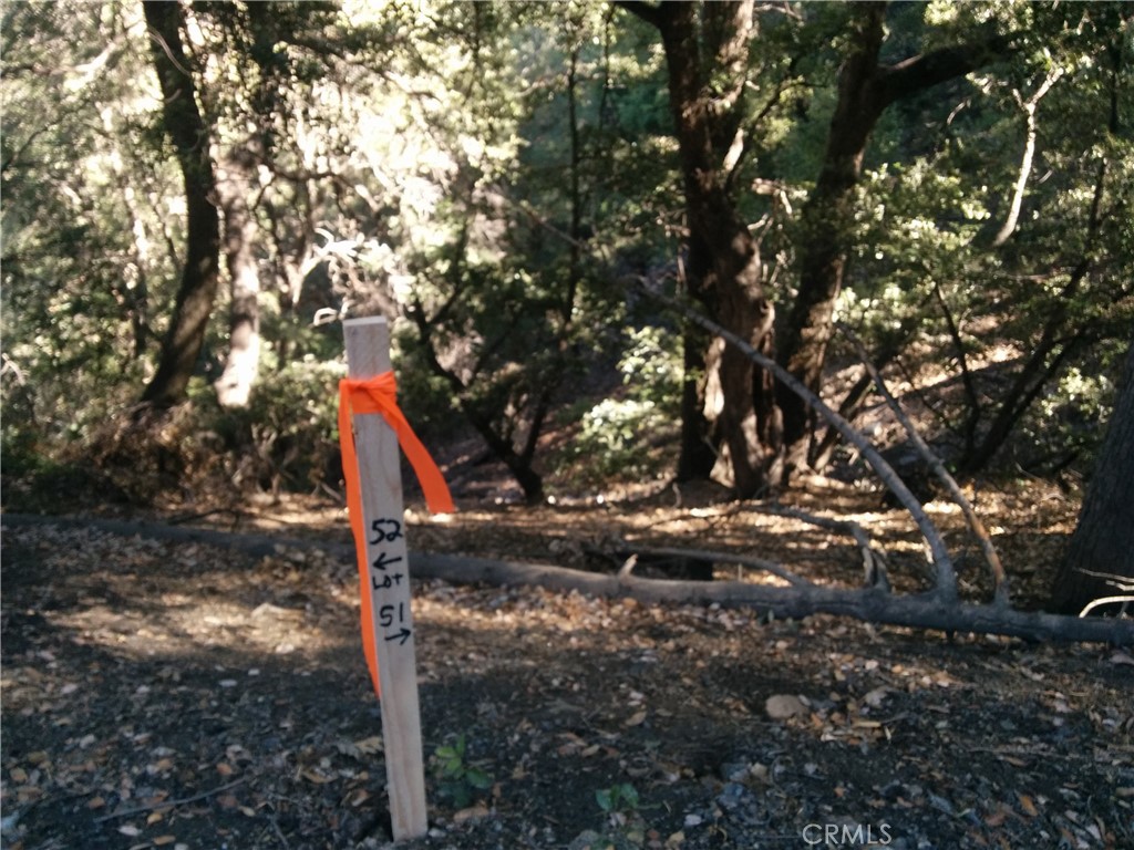 0 Chillon Drive Crestline, CA 92325 - Photo 5 of 9 a view of a tree in a yard