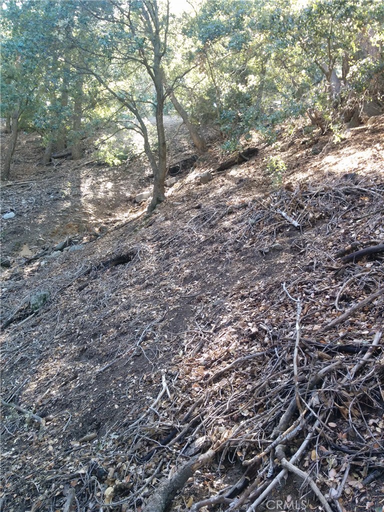 0 Chillon Drive Crestline, CA 92325 - Photo 6 of 9 a view of a yard with a tree
