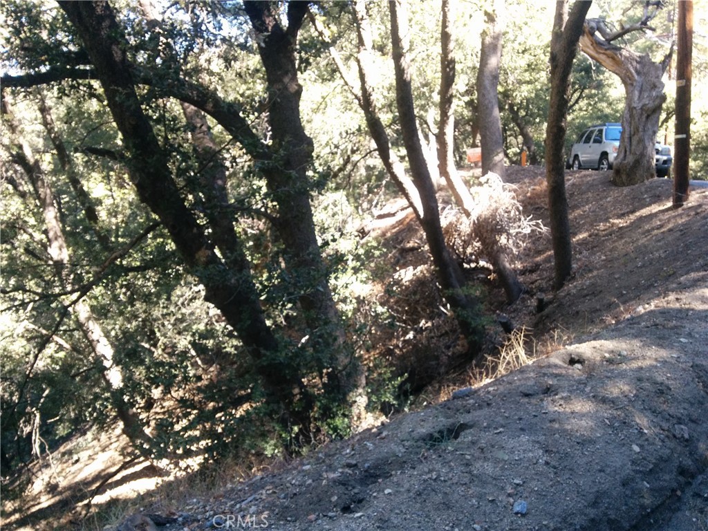 0 Chillon Drive Crestline, CA 92325 - Photo 7 of 9