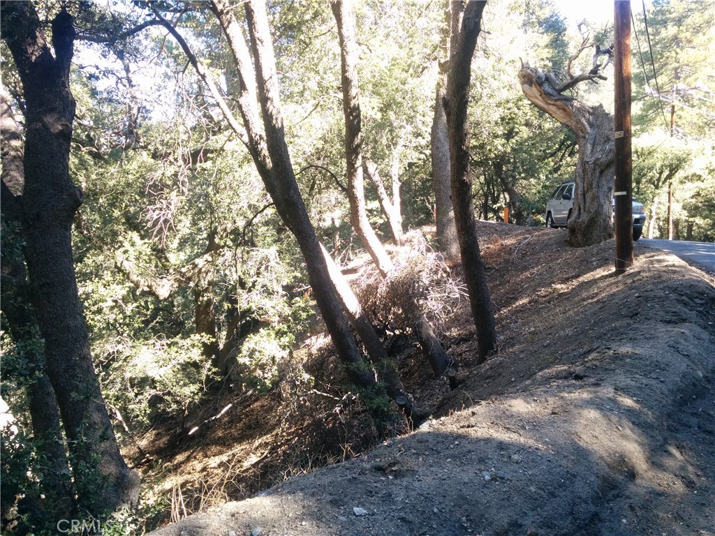 0 Chillon Drive Crestline, CA 92325 - Photo 8 of 9 a backyard of a house with large trees