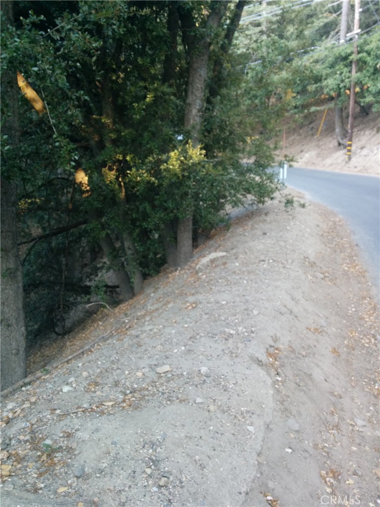 0 Chillon Drive Crestline, CA 92325 - Photo 9 of 9 a view of a yard with a tree