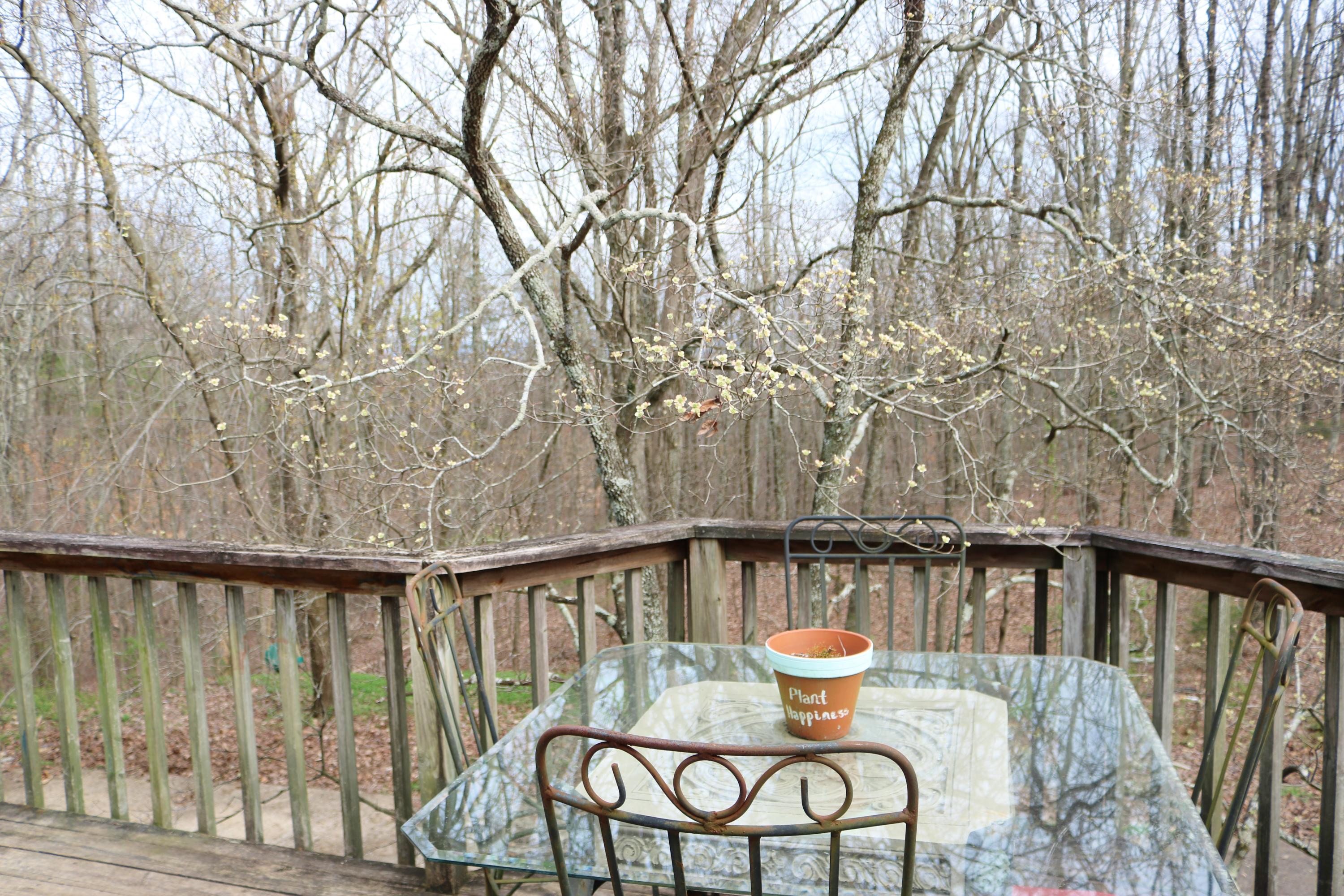 7780 Harper Road Hixson, TN 37343 - Photo 13 of 21 IMG_4316