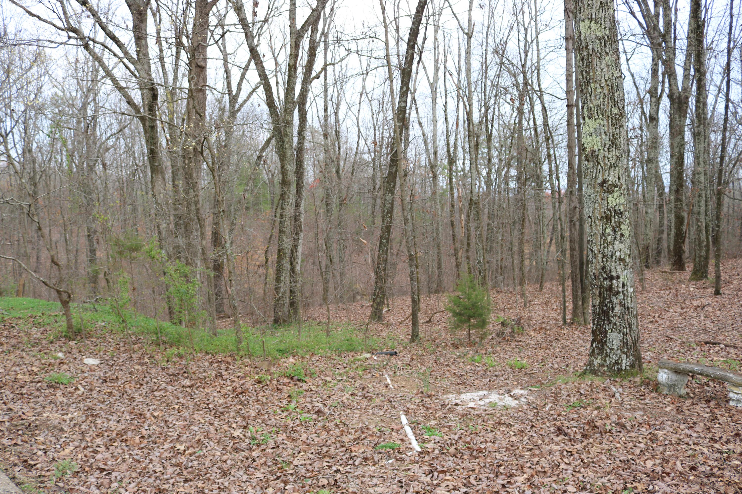 7780 Harper Road Hixson, TN 37343 - Photo 17 of 21 IMG_4266