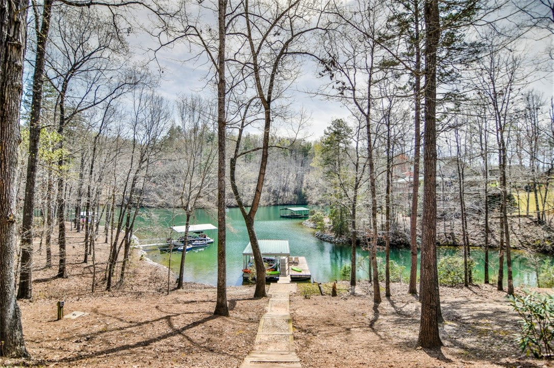 112 Cornsilk Way Sunset, SC 29685 - Photo 32 of 34 Gallery Image 32