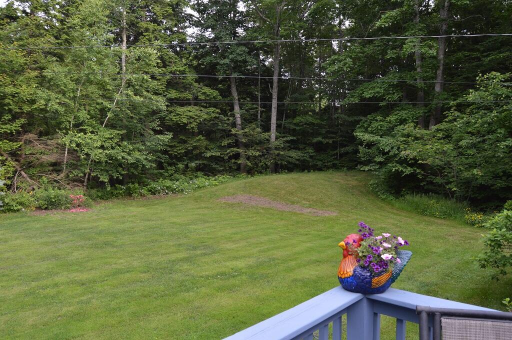 605 Wiscasset Road Whitefield, ME 04353 - Photo 8 of 42 DSC_0532