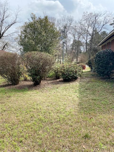 7215 Mobley Road Columbus, GA 31904 - Photo 4 of 16 a view of a backyard