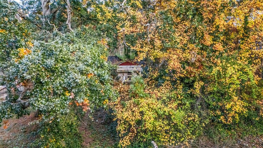 a backyard of a house with a tree