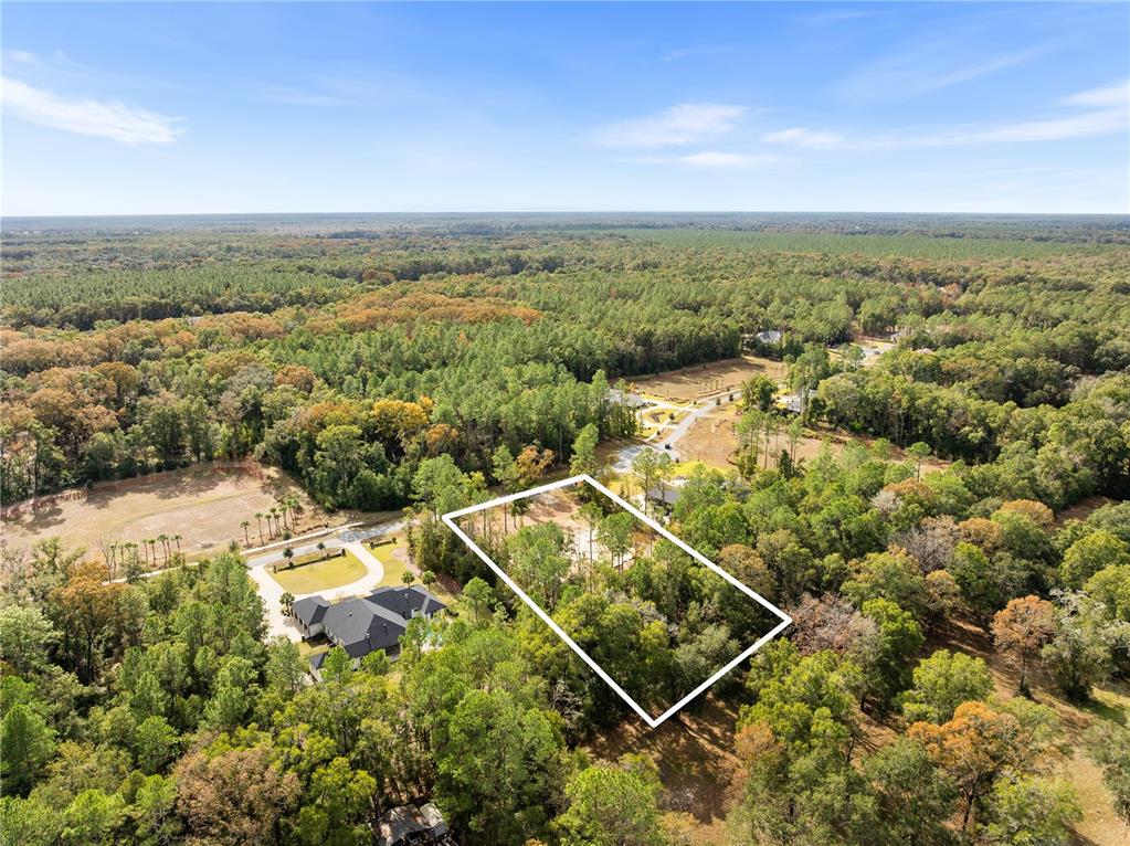 12364 Southwest 16th Lane Gainesville, FL 32607 - Photo 11 of 16 a view of a city