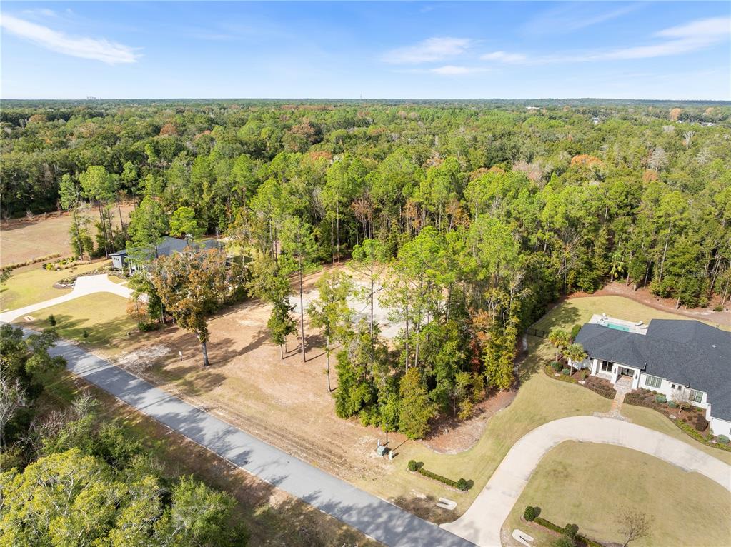 12364 Southwest 16th Lane Gainesville, FL 32607 - Photo 13 of 16 a view of a yard with an outdoor space