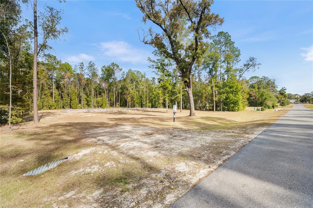 12364 Southwest 16th Lane Gainesville, FL 32607 - Photo 16 of 16 a view of road view