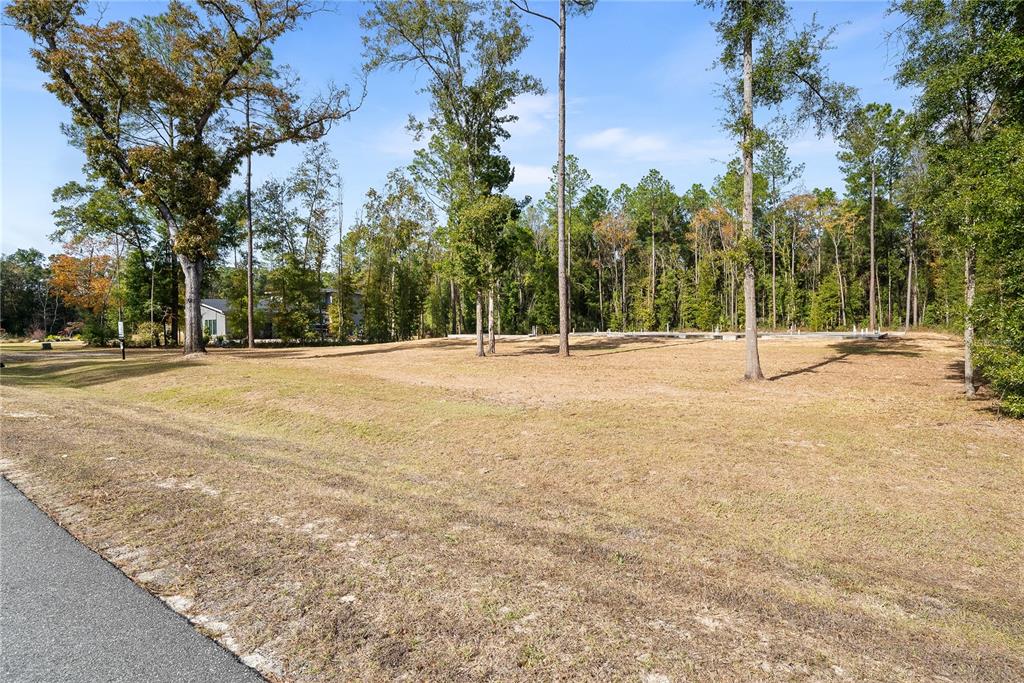 12364 Southwest 16th Lane Gainesville, FL 32607 - Photo 5 of 16 a view of road with large trees