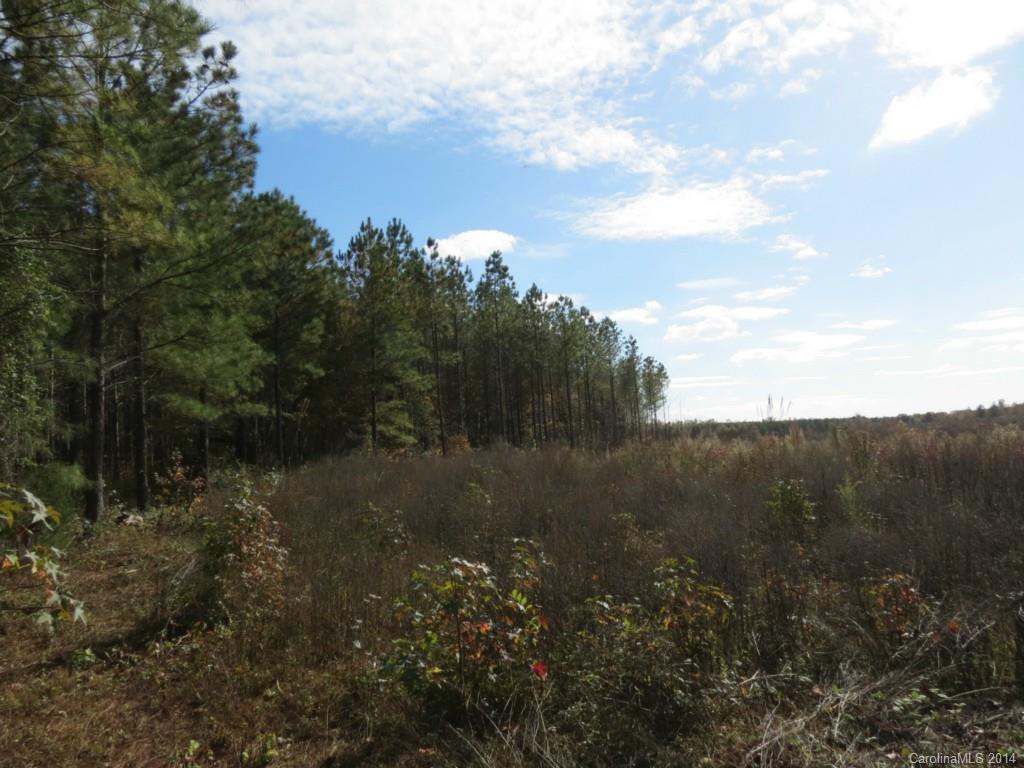 14-ac 14-ac Ferndale Road McConnells, SC 29726 - Photo 1 of 24