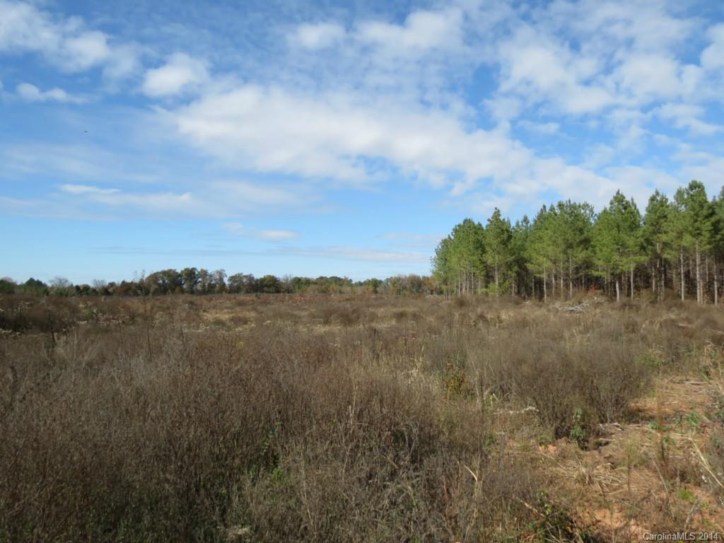 14-ac 14-ac Ferndale Road McConnells, SC 29726 - Photo 2 of 24