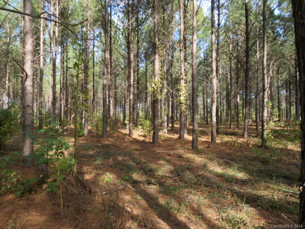 14-ac 14-ac Ferndale Road McConnells, SC 29726 - Photo 12 of 24