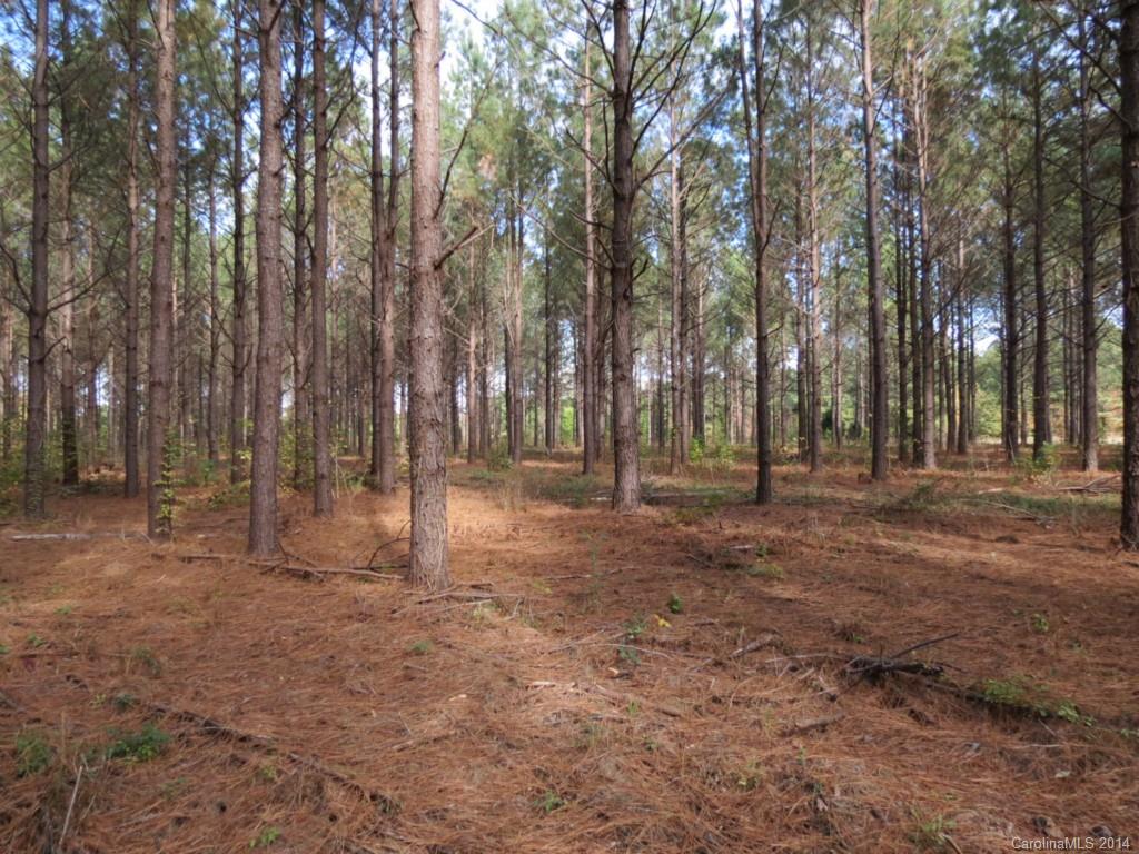 14-ac 14-ac Ferndale Road McConnells, SC 29726 - Photo 15 of 24