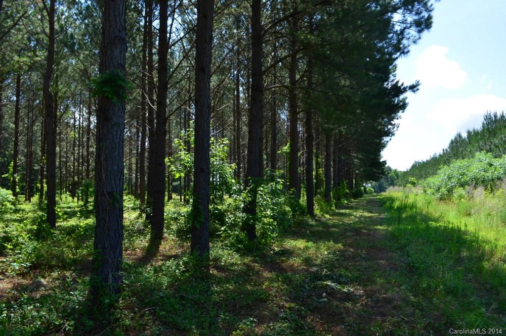 14-ac 14-ac Ferndale Road McConnells, SC 29726 - Photo 20 of 24